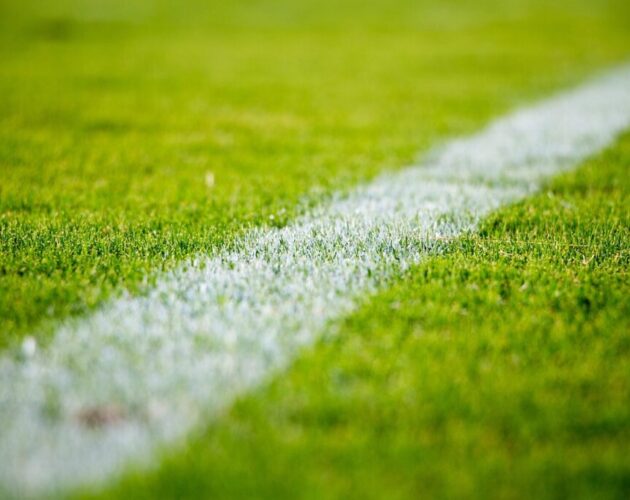 grass lawn field sports soccer 2616911